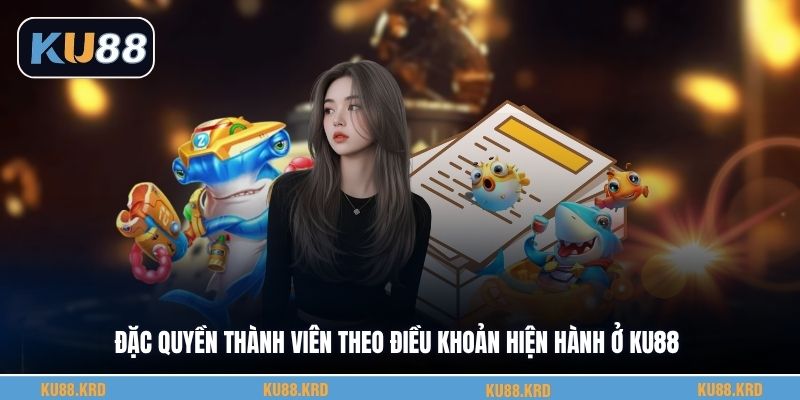 Đặc quyền thành viên theo điều khoản hiện hành ở KU88