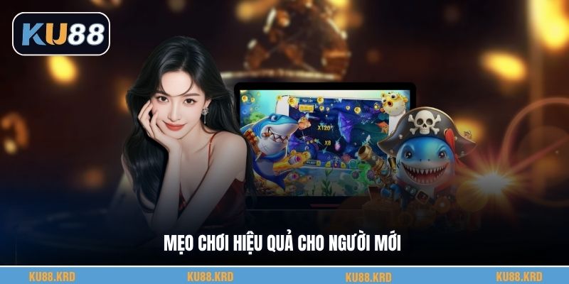 Mẹo chơi hiệu quả cho người mới